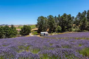 3518 Bloomfield Rd, Sebastopol, CA 95472 - Photo 70