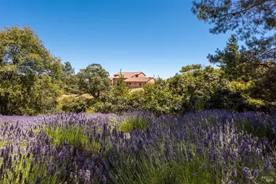 3518 Bloomfield Road, Sebastopol, CA 95472 - Photo 58