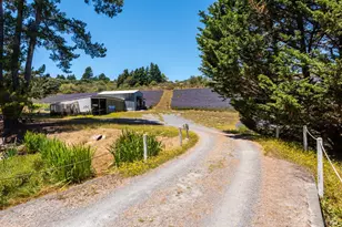 3518 Bloomfield Rd, Sebastopol, CA 95472 - Photo 66