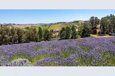 3518 Bloomfield Road, Sebastopol, CA 95472 - Photo 72