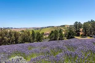 3518 Bloomfield Rd, Sebastopol, CA 95472 - Photo 72