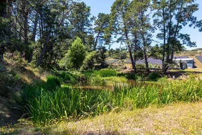 3518 Bloomfield Road, Sebastopol, CA 95472 - Photo 60