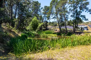 3518 Bloomfield Rd, Sebastopol, CA 95472 - Photo 60