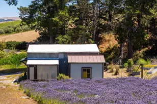 3518 Bloomfield Rd, Sebastopol, CA 95472 - Photo 68