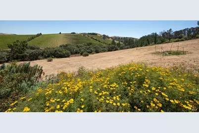 3518 Bloomfield Road, Sebastopol, CA 95472 - Photo 52