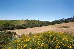 3518 Bloomfield Rd, Sebastopol, CA 95472 - Photo 52
