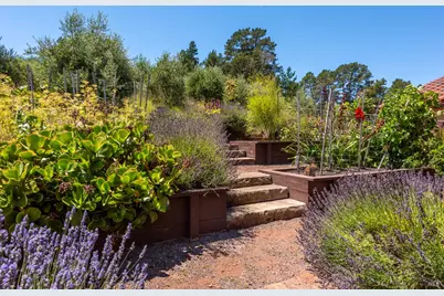 3518 Bloomfield Road, Sebastopol, CA 95472 - Photo 50