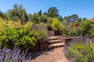 3518 Bloomfield Rd, Sebastopol, CA 95472 - Photo 50