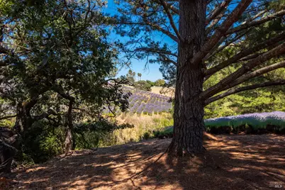 3518 Bloomfield Road, Sebastopol, CA 95472 - Photo 64