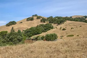 2033 Hawthorne Terrace, Novato, CA 94945 - Photo 36