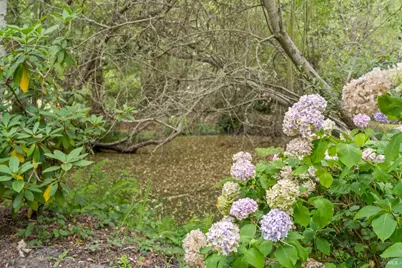 8157 Mill Station Road, Sebastopol, CA 95472 - Photo 26