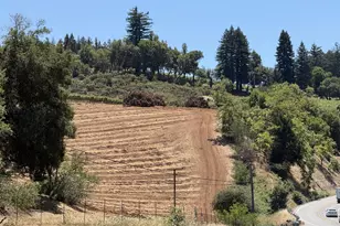 140 Petrified Forest Rd, Calistoga, CA 94515 - Photo 16