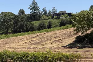 140 Petrified Forest Rd, Calistoga, CA 94515 - Photo 20