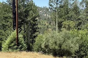 140 Petrified Forest Rd, Calistoga, CA 94515 - Photo 18