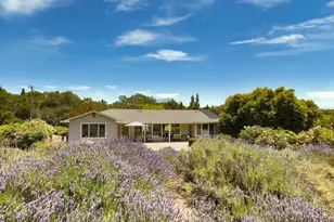 143 Loma Vista Dr, Sonoma, CA 95476 - Photo 6