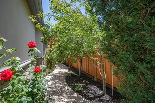 21 Eye St, San Rafael, CA 94901 - Photo 70