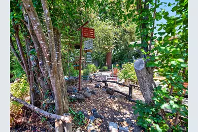 901 Catalpa Way, Petaluma, CA 94954 - Photo 44