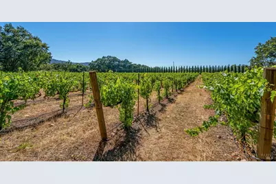 8049 Sonoma Highway, Santa Rosa, CA 95409 - Photo 44