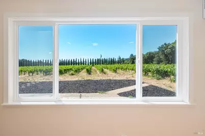 8049 Sonoma Highway, Santa Rosa, CA 95409 - Photo 24