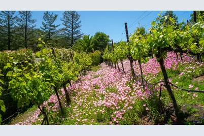 25 Saddle Lane, Novato, CA 94947 - Photo 56