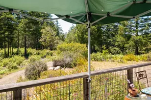 33482 Iversen Rd, Gualala, CA 95445 - Photo 14