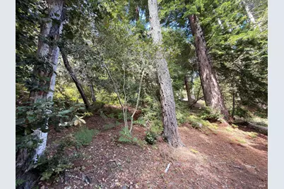 76 Compass Close, The Sea Ranch, CA 95497 - Photo 8
