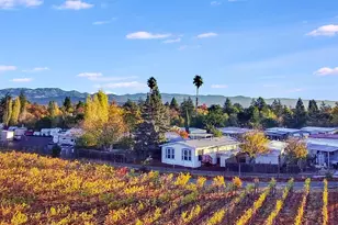 139 Bear Flag Rd, Sonoma, CA 95476 - Photo 34