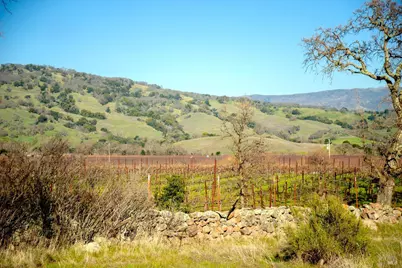 3576 Monticello Road, Napa, CA 94558 - Photo 38