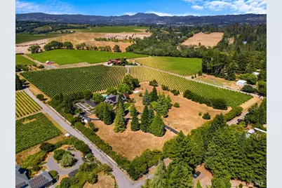 8550 Templeman Road, Forestville, CA 95436 - Photo 6