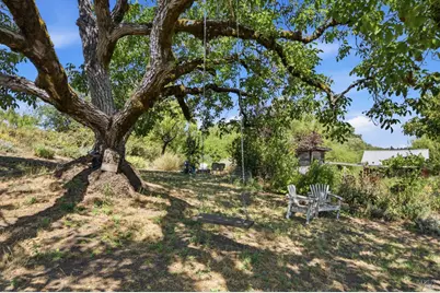 8650 Savio Road, Sebastopol, CA 95472 - Photo 24