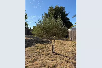 1500 Severus Drive, Vallejo, CA 94589 - Photo 8