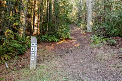 384 Madrone Meadow, The Sea Ranch, CA 95497 - Photo 42