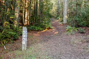 384 Madrone Meadow, The Sea Ranch, CA 95497 - Photo 42