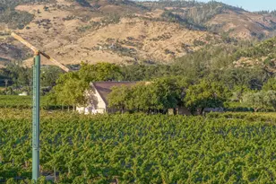 3486 St Helena Hwy, Saint Helena, CA 94574 - Photo 58