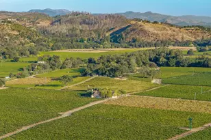 3486 St Helena Hwy, Saint Helena, CA 94574 - Photo 60