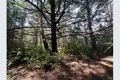 30055 Seaview Road, Cazadero, CA 95421 - Photo 4