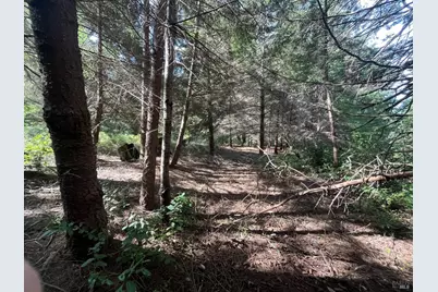 30055 Seaview Road, Cazadero, CA 95421 - Photo 2