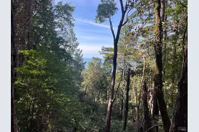 30055 Seaview Road, Cazadero, CA 95421 - Photo 1