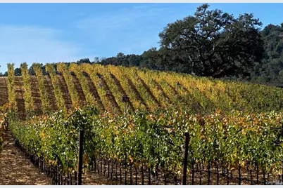 78 Village Parkway, Napa, CA 94558 - Photo 76