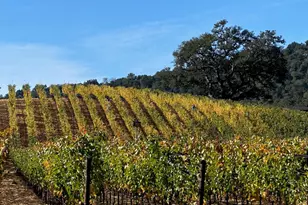 78 Village Pkwy, Napa, CA 94558 - Photo 76