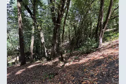 9868 Hillside Drive, Forestville, CA 95436 - Photo 4