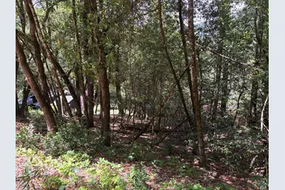 9868 Hillside Drive, Forestville, CA 95436 - Photo 6