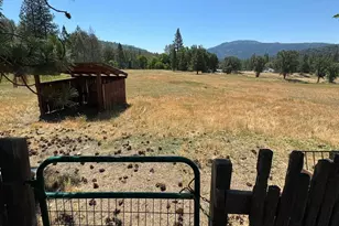 12955 Bottle Rock Rd, Kelseyville, CA 95451 - Photo 4