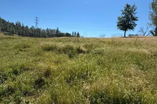 12955 Bottle Rock Rd, Kelseyville, CA 95451 - Photo 12