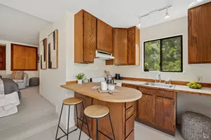 187 Molino Ave, Mill Valley, CA 94941 - Photo 40