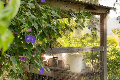 7491 St. Helena Highway, Napa, CA 94558 - Photo 72