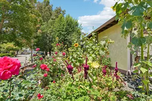 6644 Greenmeadow Dr, Santa Rosa, CA 95409 - Photo 8