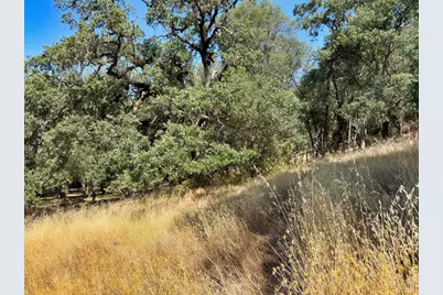 0 Lone Pine Drive, Redwood Valley, CA 95470 - Photo 12