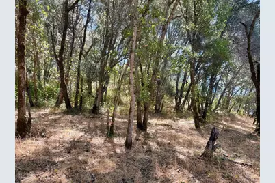 0 Lone Pine Drive, Redwood Valley, CA 95470 - Photo 10