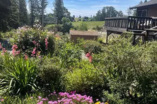 1982 Coffee Ln, Sebastopol, CA 95472 - Photo 2